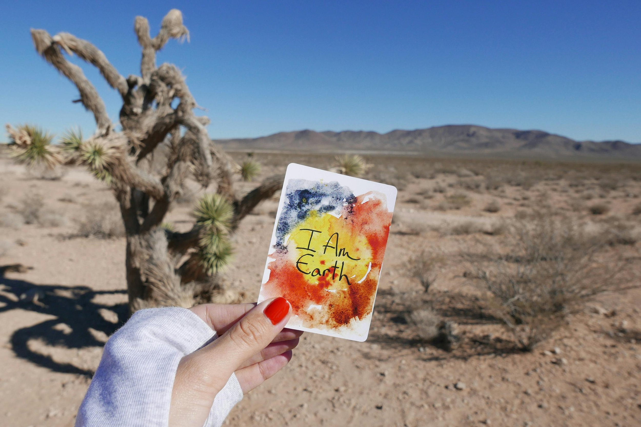 Art in the Desert: Discover Joshua Tree’s Creative Spirit